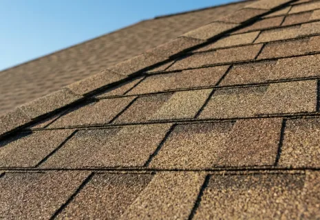 shingle roof